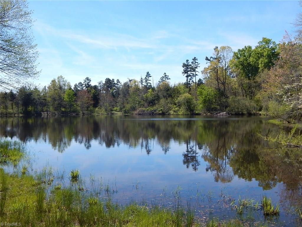 5197 Fred Lineberry Road Randleman, NC 27317 - Photo 4 of 22 Gallery Image 4