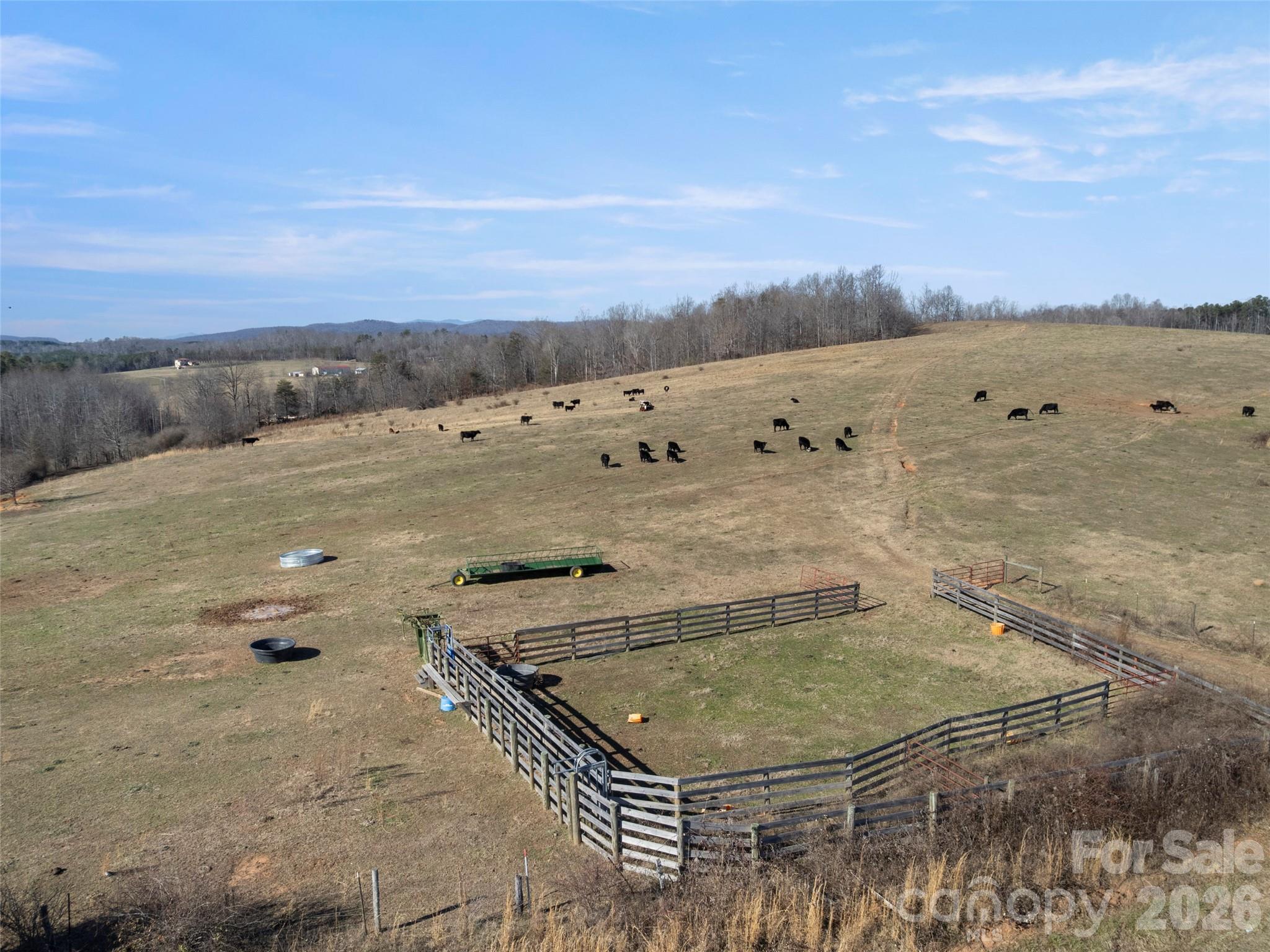 9999 Walker Road Nebo, NC 28761 - Photo 6 of 23