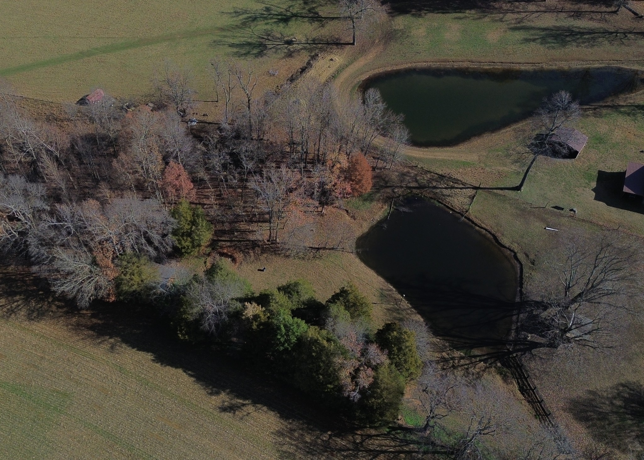 12354 Owens Chapel Road Springfield, TN 37172 - Photo 50 of 51 a picture of outdoor space