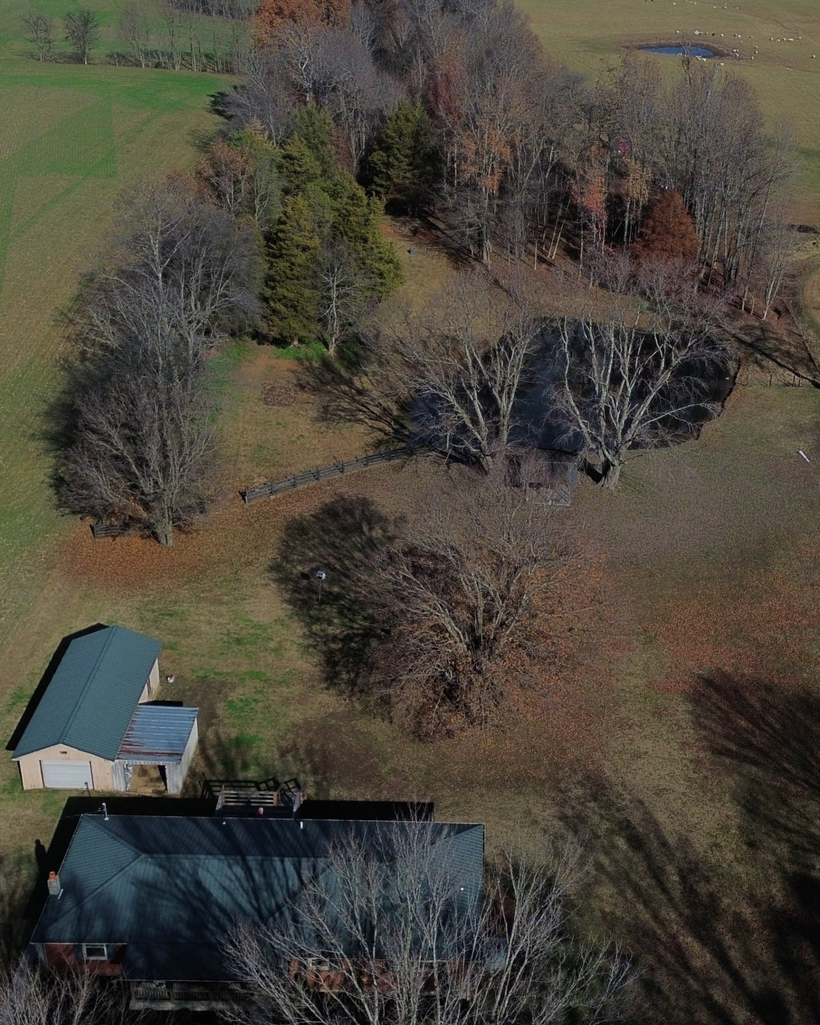 12354 Owens Chapel Road Springfield, TN 37172 - Photo 51 of 51 a view of outdoor space and yard
