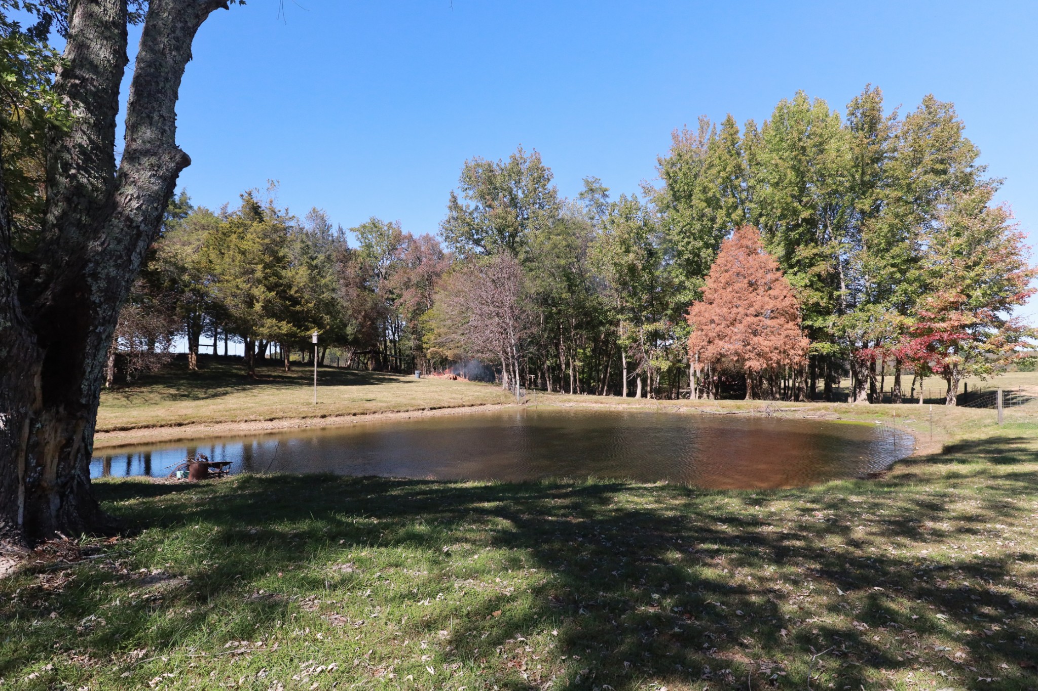 12354 Owens Chapel Road Springfield, TN 37172 - Photo 6 of 51 a view of pool with mountain view