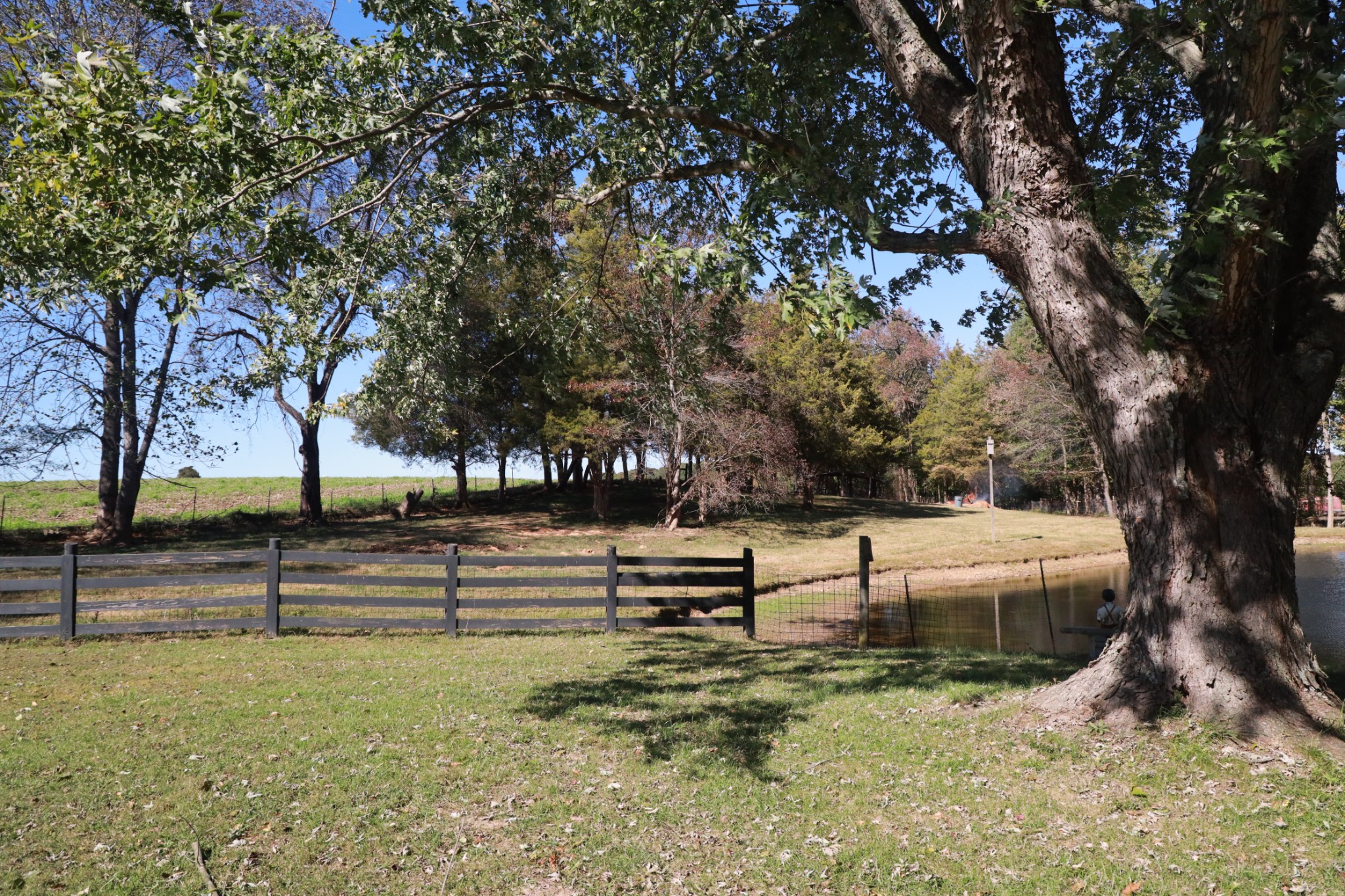 12354 Owens Chapel Road Springfield, TN 37172 - Photo 7 of 51 a view of park benches