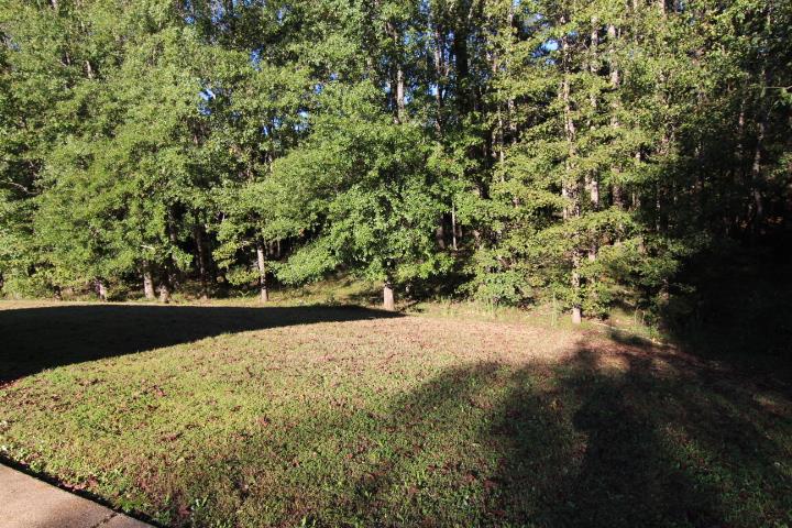1211 Central Church Road Midland, GA 31820 - Photo 24 of 27 Gallery Image 24