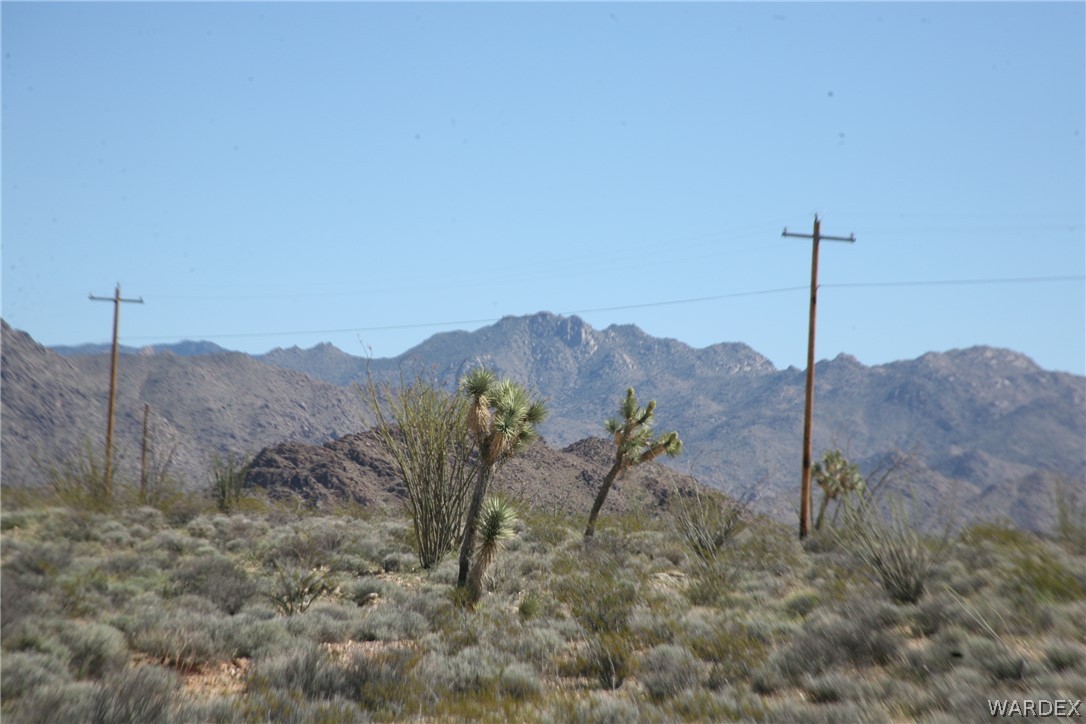 208-24-134 Cameron Road Yucca, AZ 86438 - Photo 57 of 86