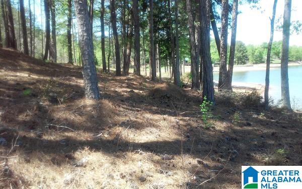 240 County Road, Unit 4 Wedowee, AL 36278 - Photo 6 of 10