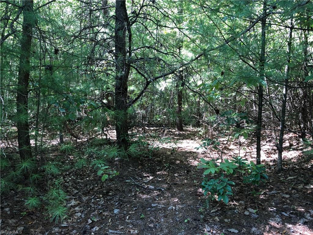 Lot 59 Staghorn Road Purlear, NC 28665 - Photo 3 of 35 Great Building Site