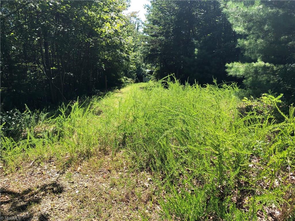 Lot 59 Staghorn Road Purlear, NC 28665 - Photo 4 of 35