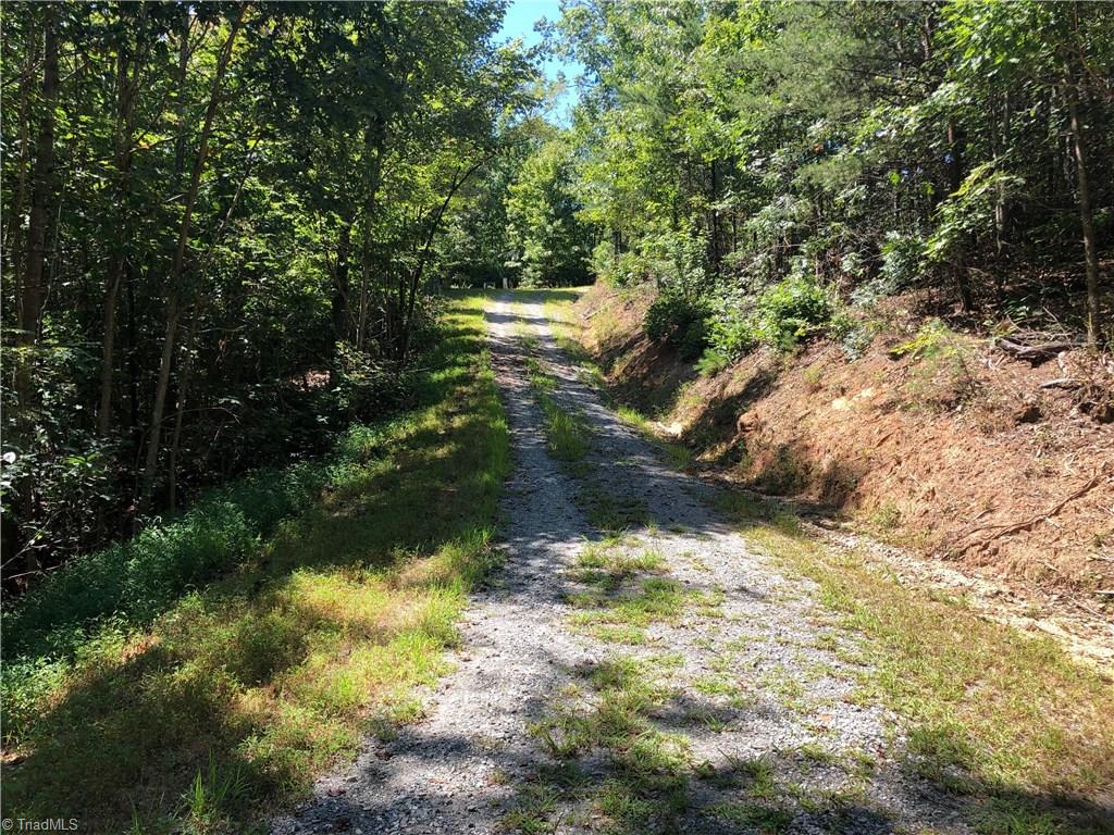 Lot 59 Staghorn Road Purlear, NC 28665 - Photo 7 of 35 Access Lot 59 from this shared driveway off Brookline Drive.