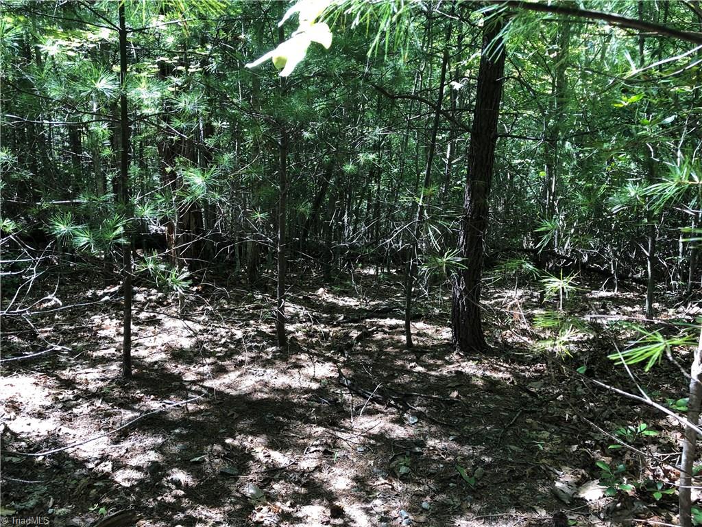 Lot 59 Staghorn Road Purlear, NC 28665 - Photo 8 of 35