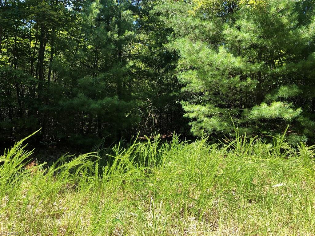 Lot 59 Staghorn Road Purlear, NC 28665 - Photo 10 of 35