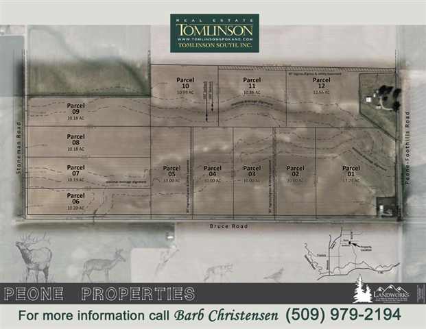 5 Peone Properties Mead, WA 99021 - Photo 4 of 9