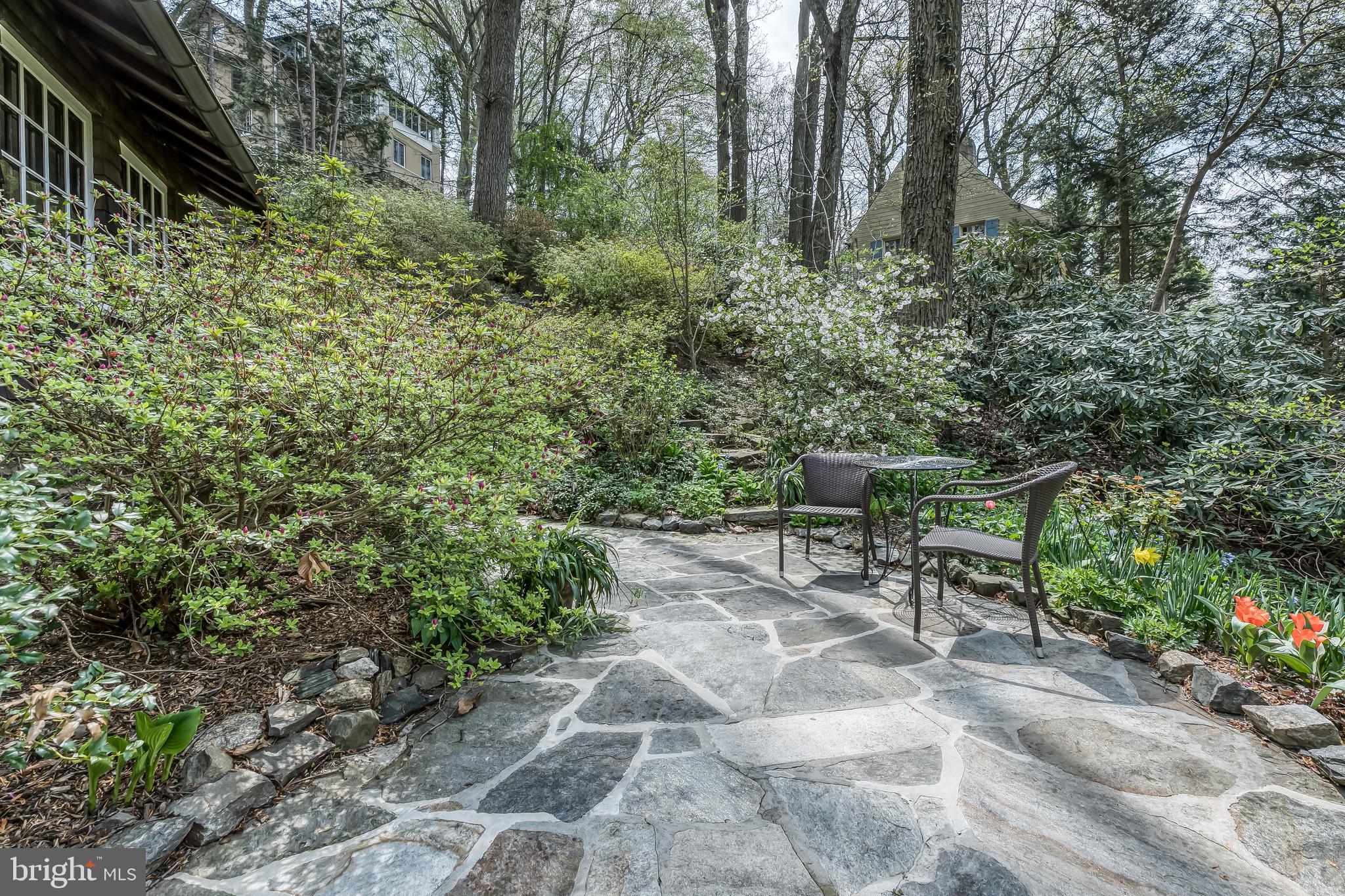 315 Edgevale Road Baltimore, MD 21210 - Photo 17 of 46 Stone terrace with evergreen border gardens