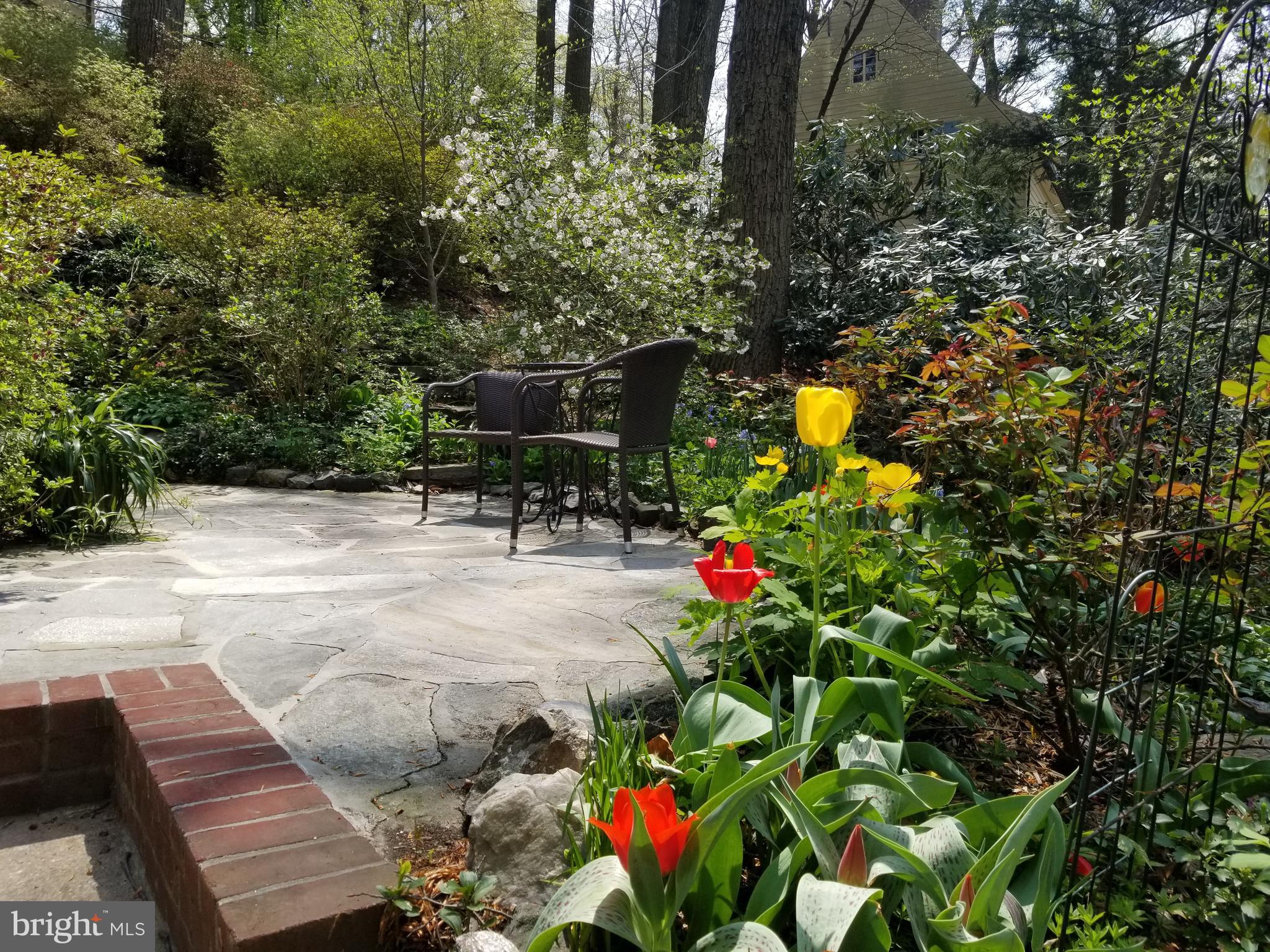 315 Edgevale Road Baltimore, MD 21210 - Photo 19 of 46 Perennial gardens