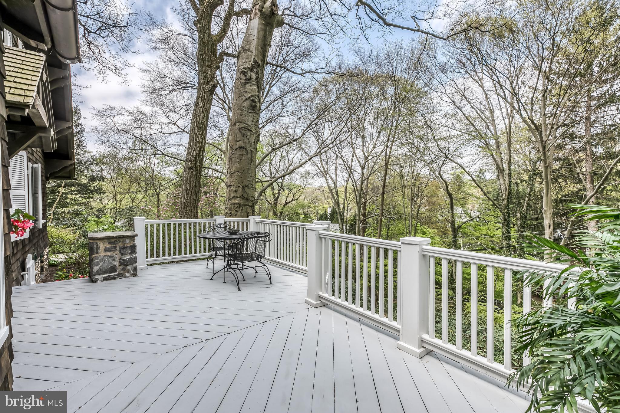 315 Edgevale Road Baltimore, MD 21210 - Photo 42 of 46 Enjoy long views, green canopy , birds in song