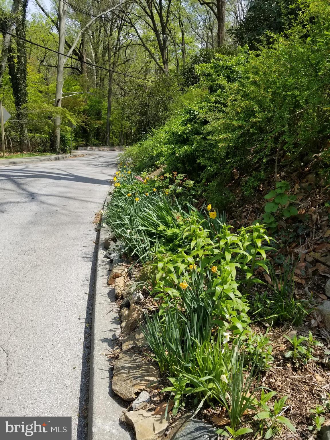 315 Edgevale Road Baltimore, MD 21210 - Photo 45 of 46 Quiet street; shared neighborhood walking paths