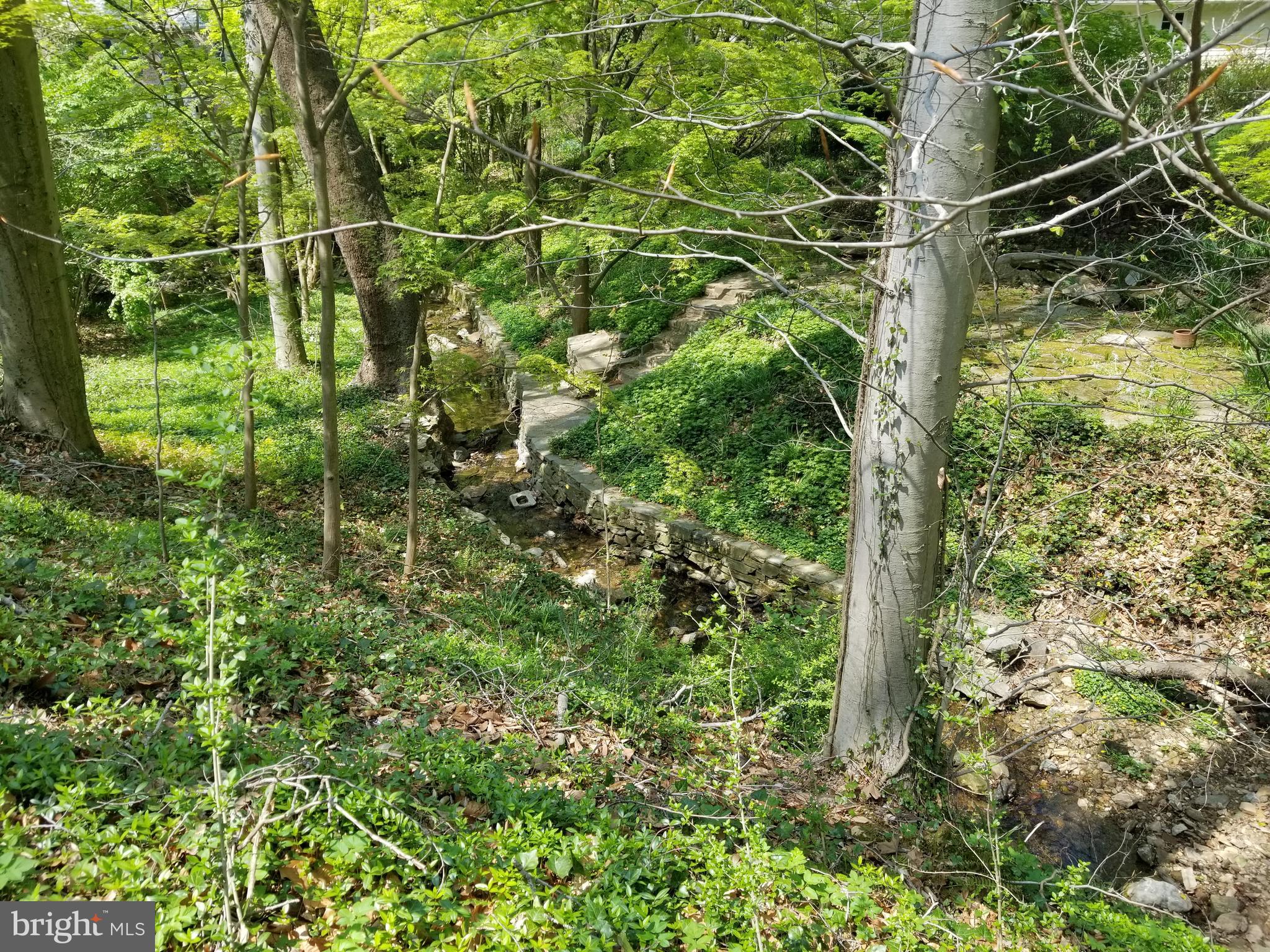 315 Edgevale Road Baltimore, MD 21210 - Photo 46 of 46 Nearby Springhouse Path leads to stream