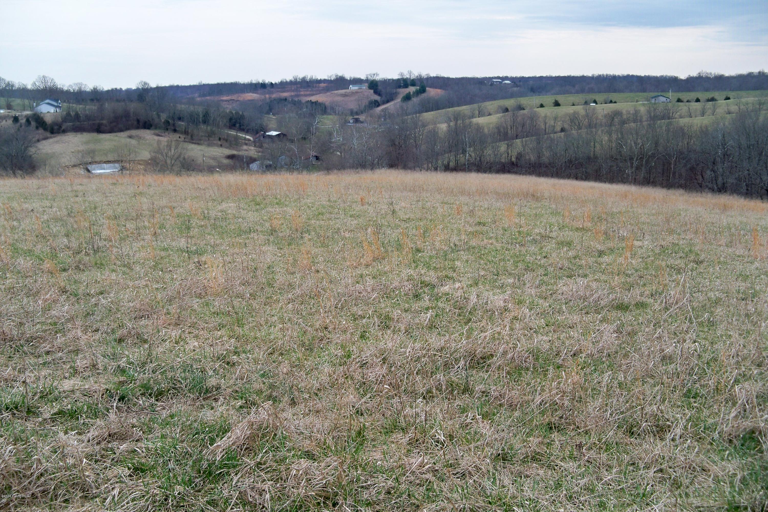 1795 Timber Creek Road Bloomfield, KY 40008 - Photo 7 of 20 100_4612