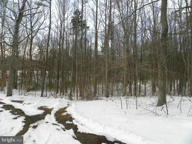 1626 Poplar Road Stafford, VA 22556 - Photo 29 of 29 Wooded lot