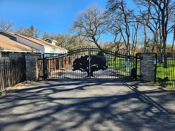 a view of a yard with a tree