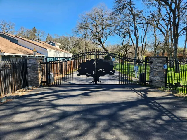 a view of a yard with a tree