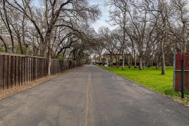 a view of a park with large trees