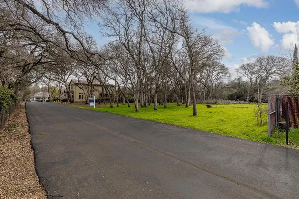 a view of a park with large trees