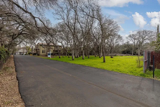 a view of a park with large trees