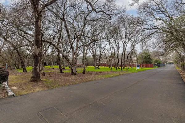 a view of a park with large trees