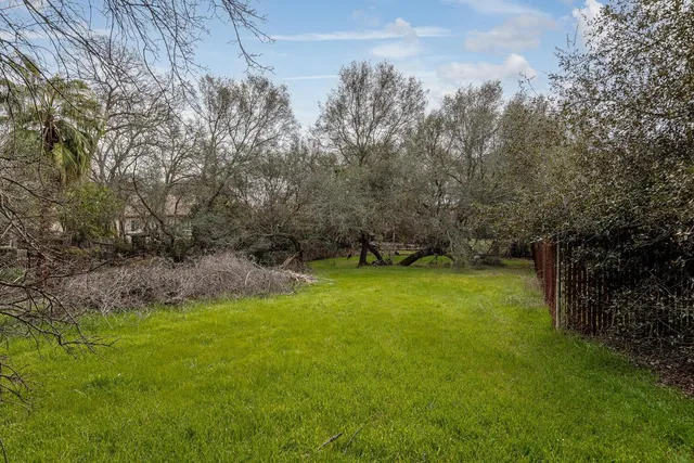 a huge green field with lots of trees