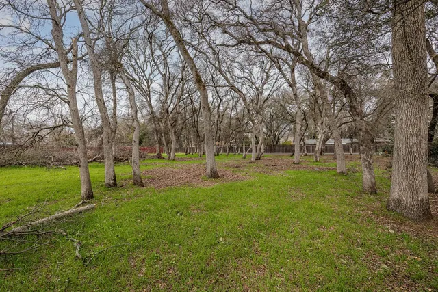 a view of park with trees