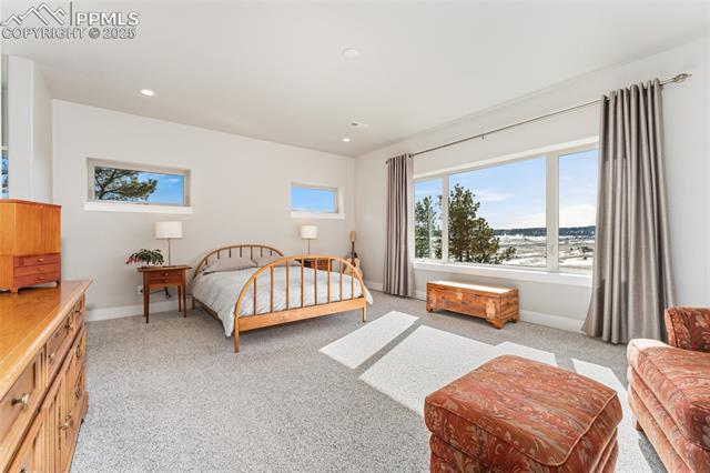 938 Spruce Road Larkspur, CO 80118 - Photo 22 of 47 Gallery Image 22