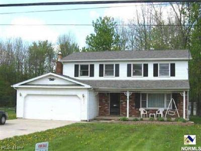 38466 Otten Road North Ridgeville, OH 44039 - Photo 1 of 1