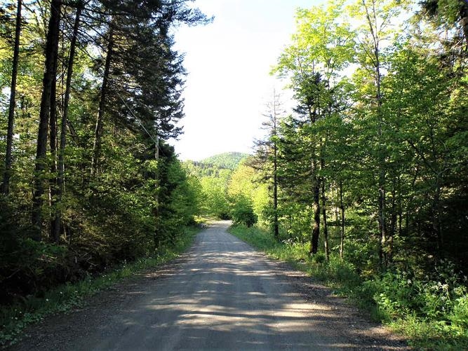 0 Hooper Hollow Road Bethel, VT 05032 - Photo 2 of 10