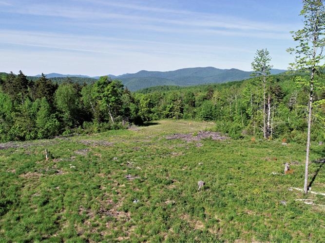 0 Hooper Hollow Road Bethel, VT 05032 - Photo 3 of 10
