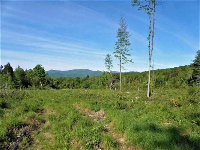 0 Hooper Hollow Road Bethel, VT 05032 - Photo 6 of 10