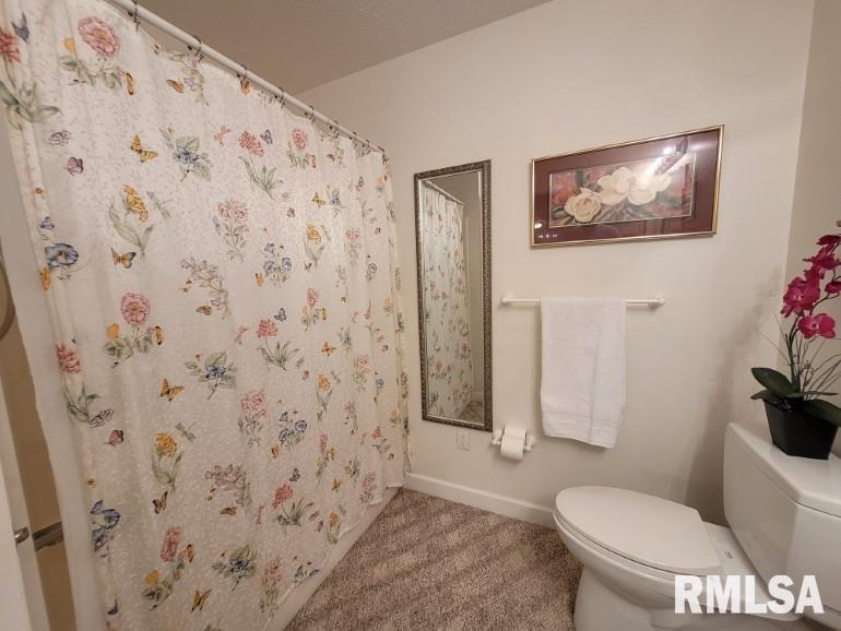 9091 East Richview Road Mount Vernon, IL 62864 - Photo 41 of 47