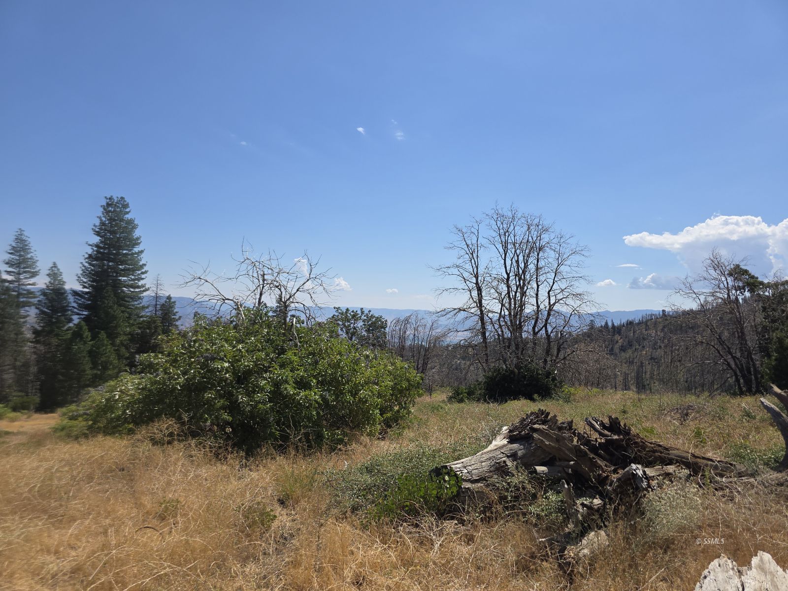 0 Old State Road Wofford Heights, CA 93285 - Photo 8 of 10