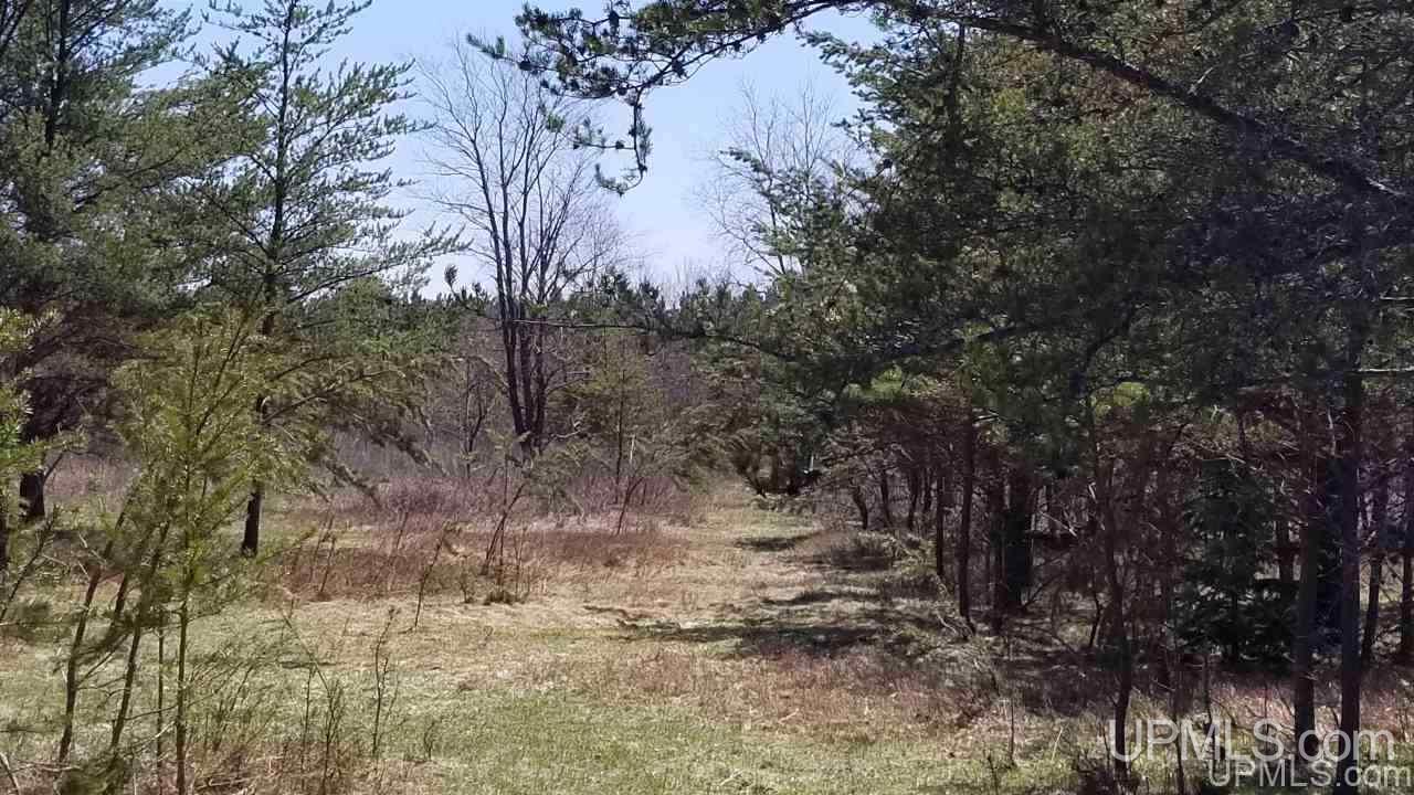 29-acr Pond Road Iron River, MI 49935 - Photo 2 of 29 Gallery Image 2