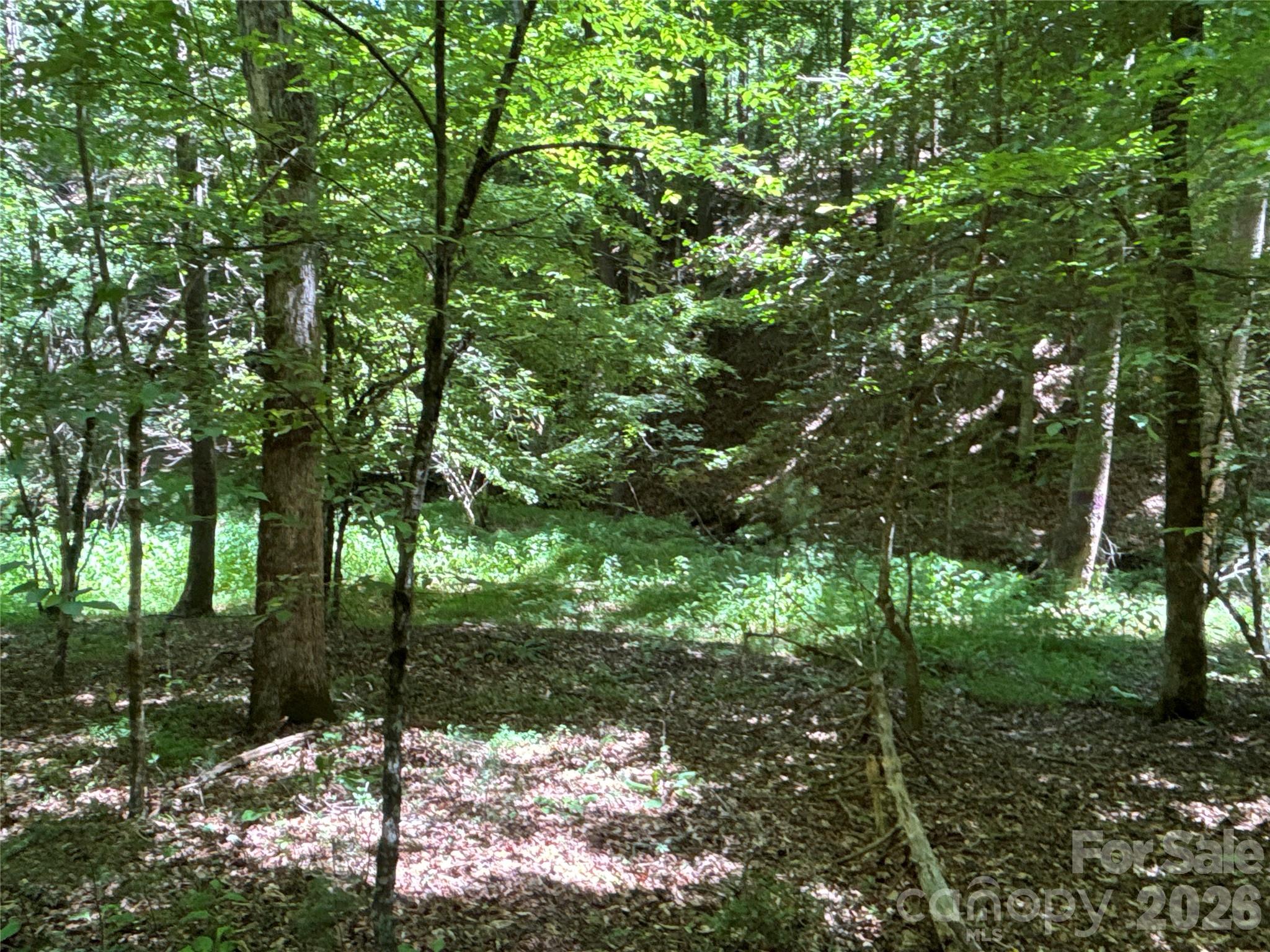2006 Piedmont Road Morganton, NC 28655 - Photo 8 of 14