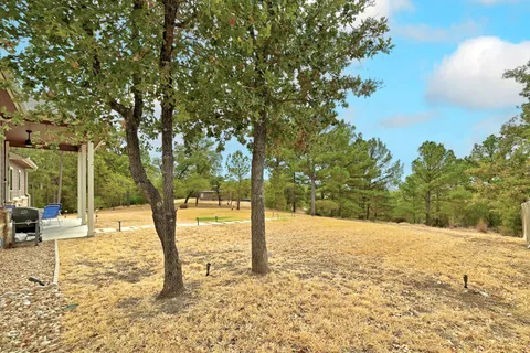 a view of a yard with a tree