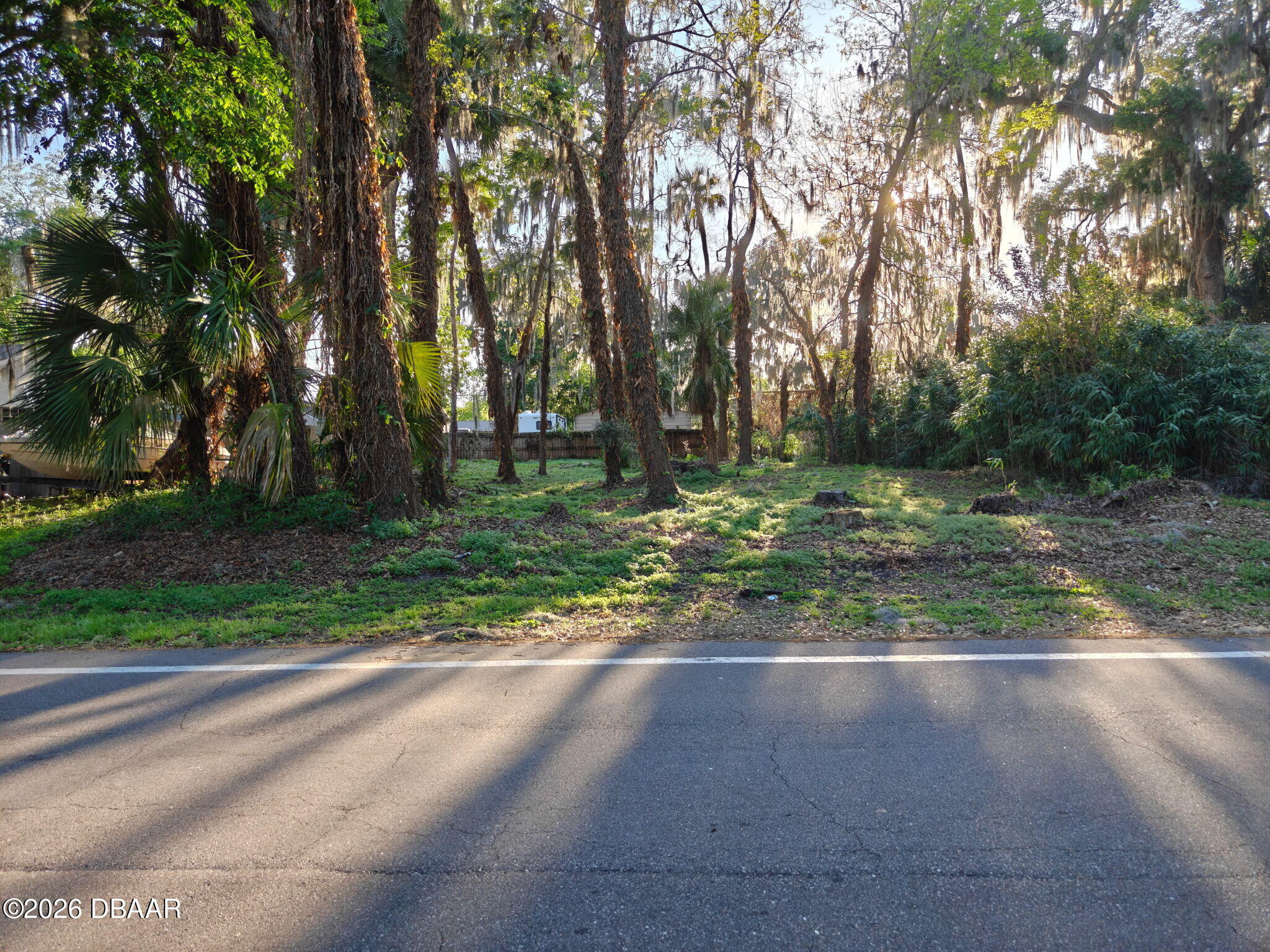 2214 Needle Palm Drive Edgewater, FL 32141 - Photo 1 of 6 a view of a park