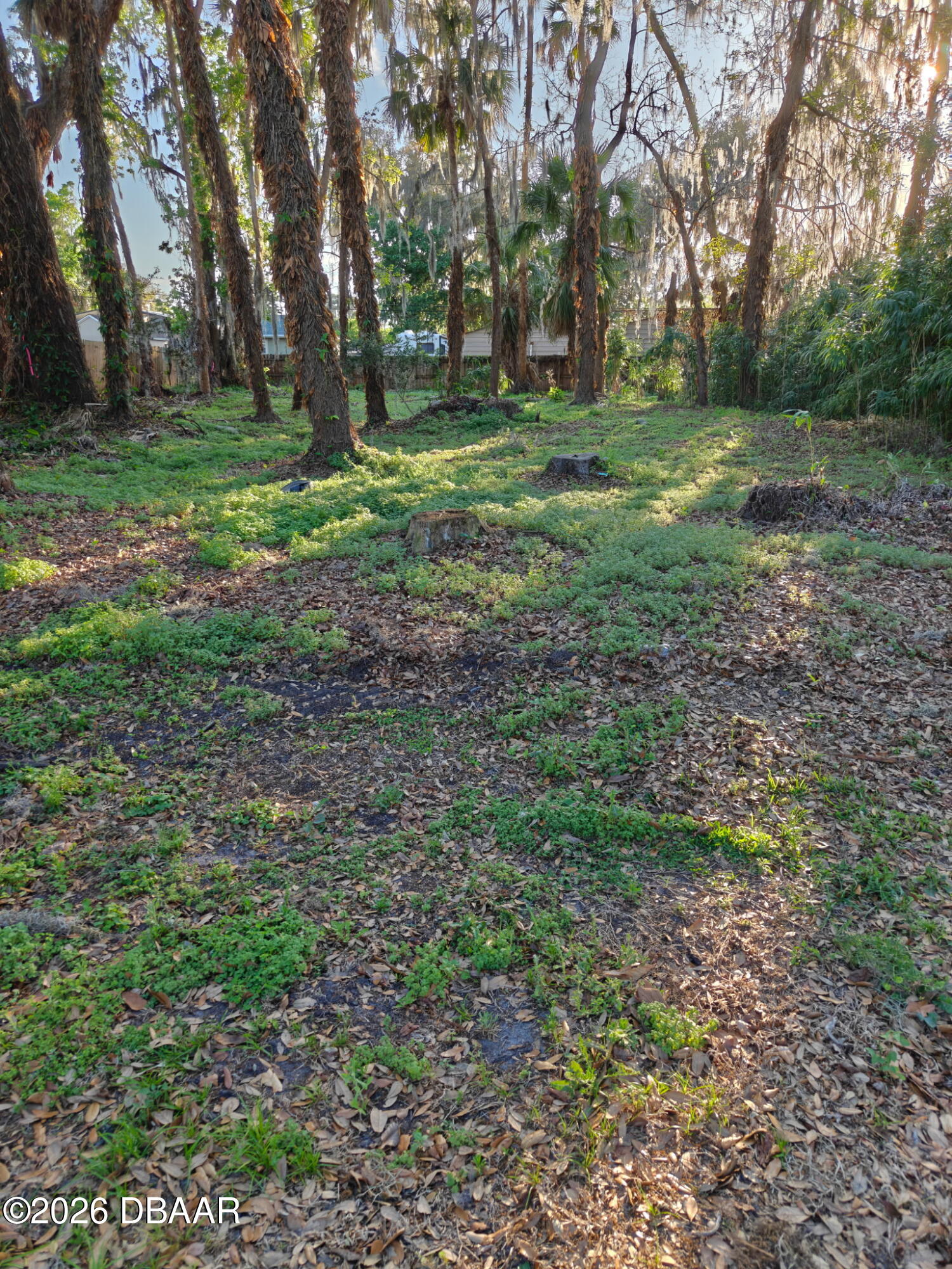 2214 Needle Palm Drive Edgewater, FL 32141 - Photo 2 of 6 a view of outdoor space with trees all around