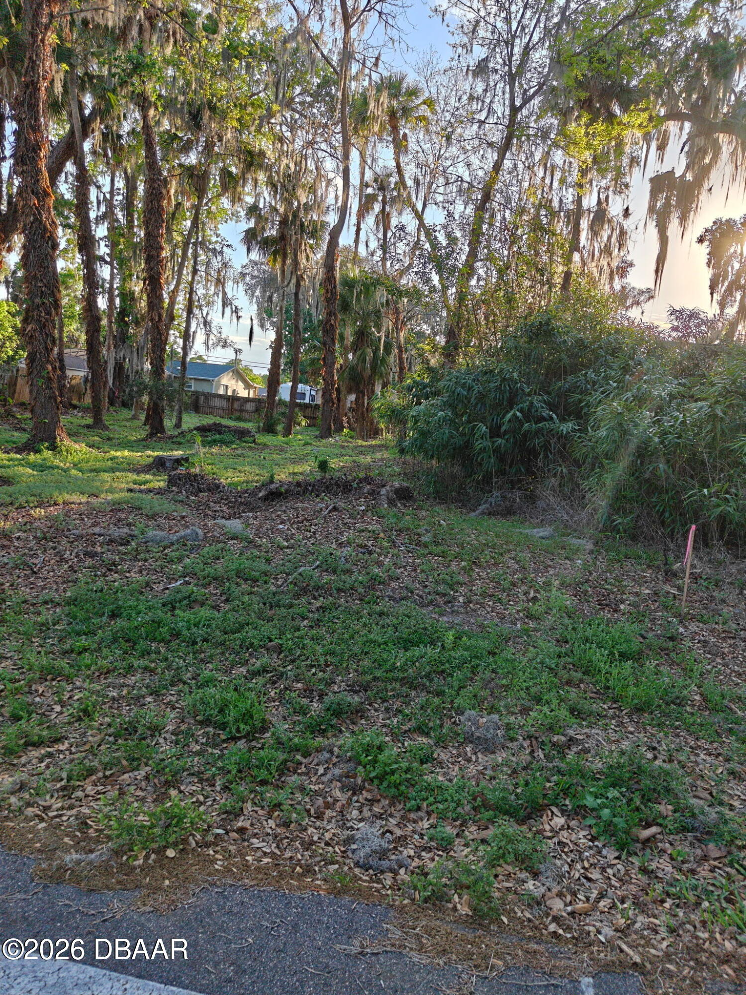 2214 Needle Palm Drive Edgewater, FL 32141 - Photo 3 of 6 a view of a park with large trees
