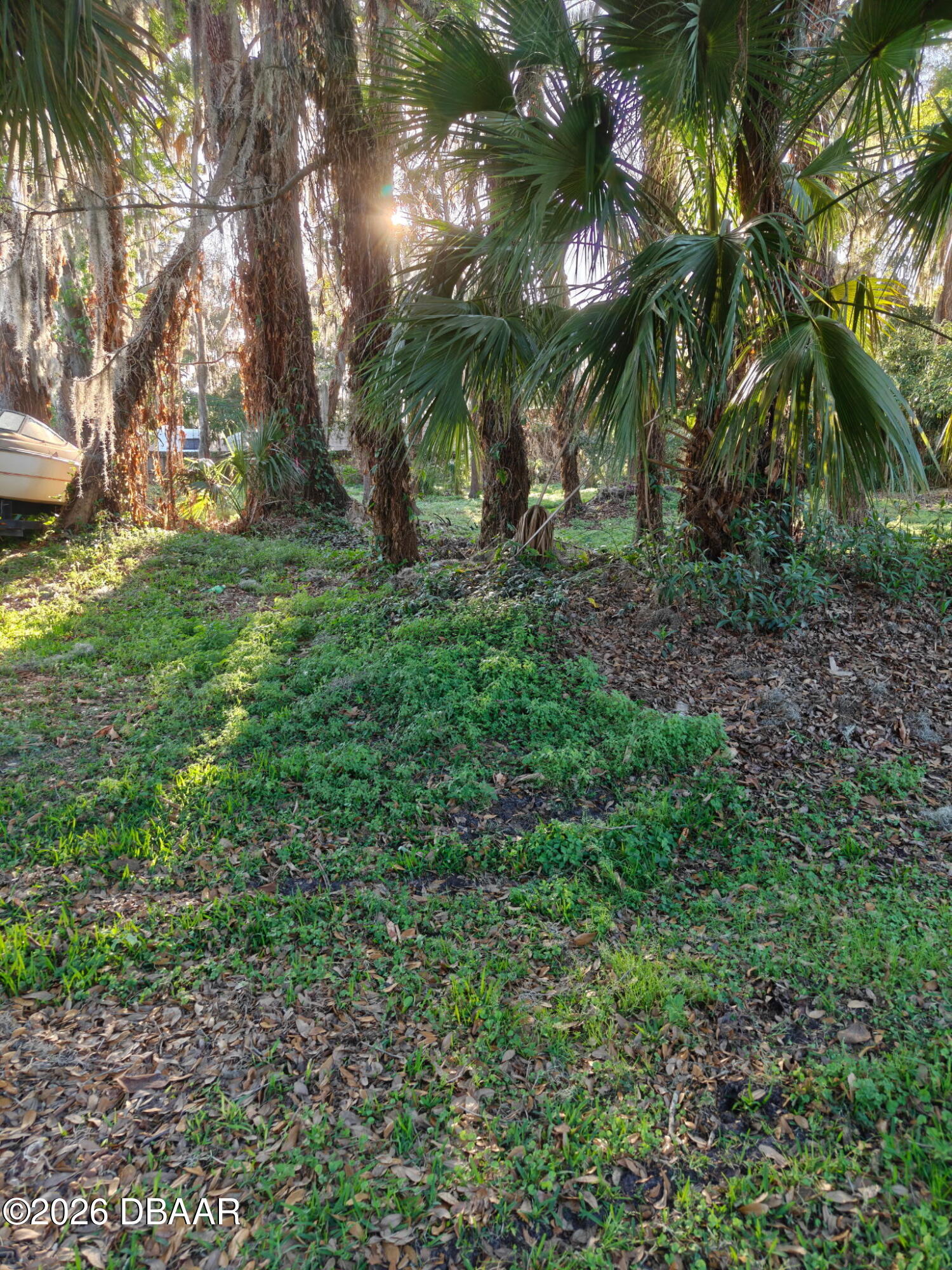 2214 Needle Palm Drive Edgewater, FL 32141 - Photo 4 of 6 a view of backyard with green space