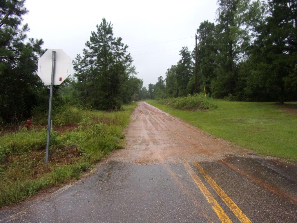 800 Hill Road Georgetown, GA 39854 - Photo 3 of 4 Gallery Image 3