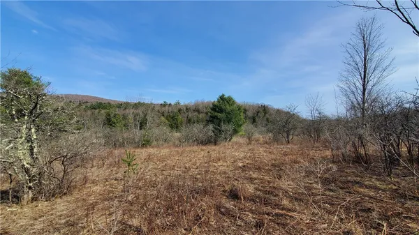 $32,900 | Lot#10 Goddards Road, Mount Vision, NY 13810