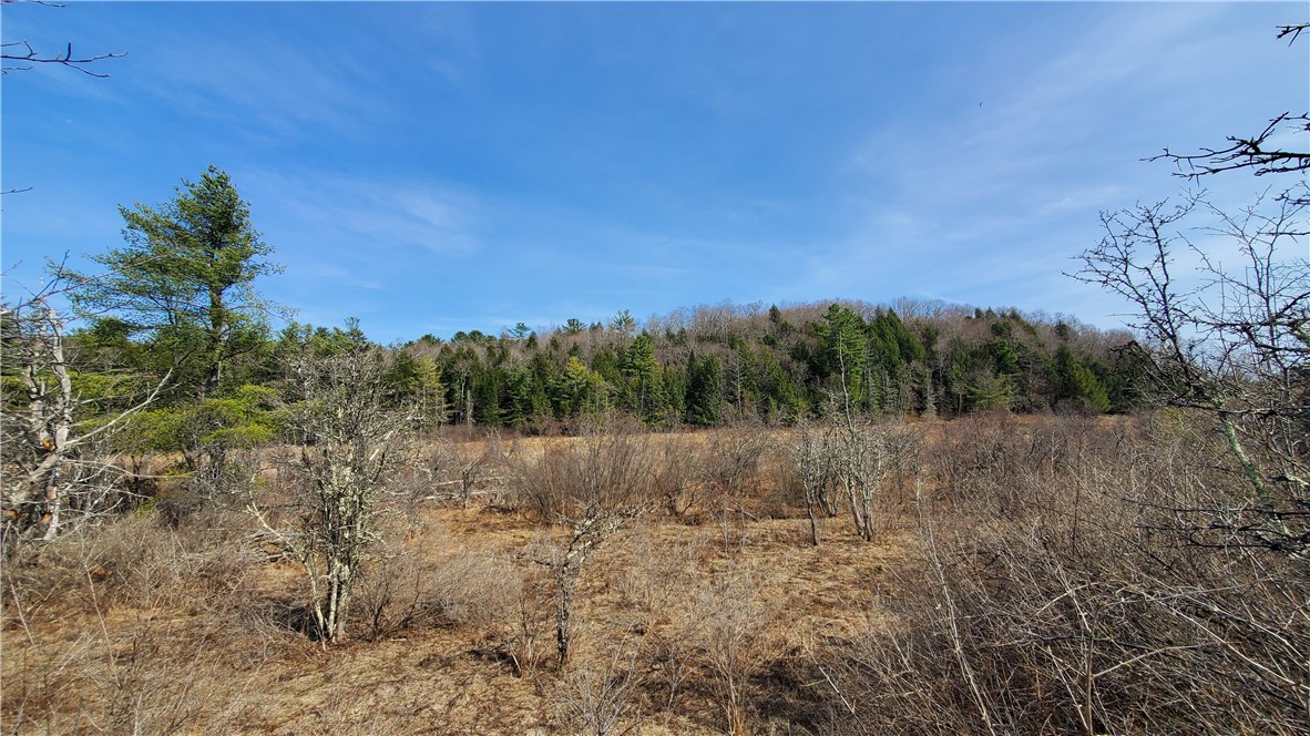 Lot #10 Goddards Road Mount Vision, NY 13810 - Photo 12 of 30