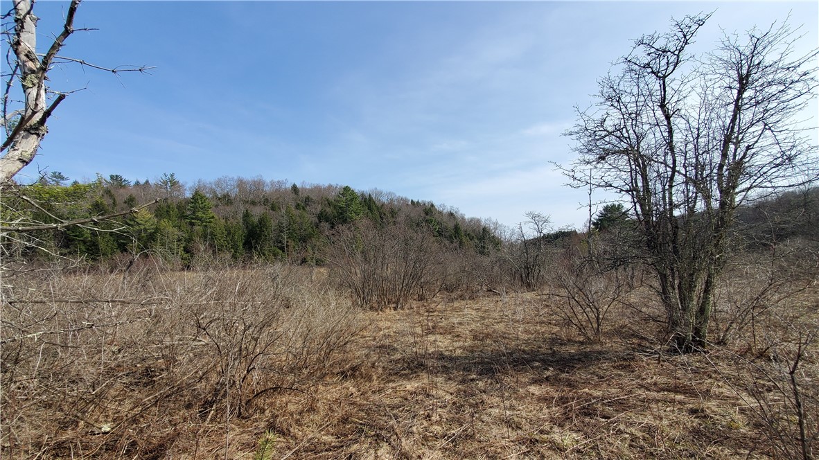 Lot #10 Goddards Road Mount Vision, NY 13810 - Photo 13 of 30