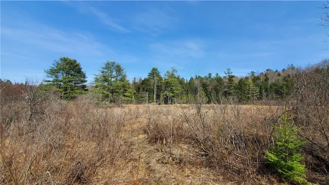 $32,900 | Lot #10 Goddards Road, Mount Vision, NY 13810
