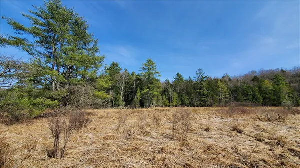 $32,900 | Lot#10 Goddards Road, Mount Vision, NY 13810